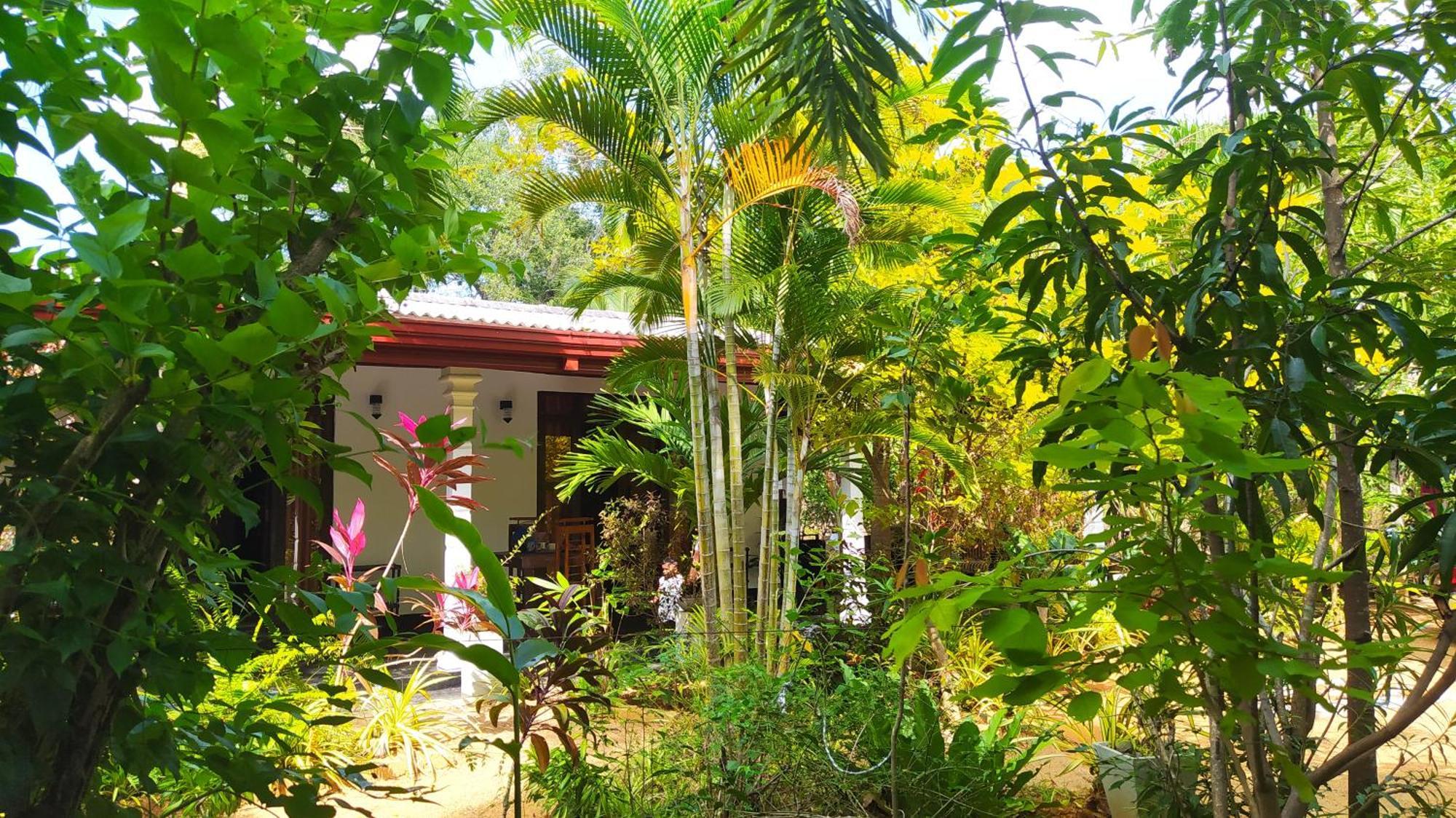 Yashi'S Place Sigirija Zewnętrze zdjęcie