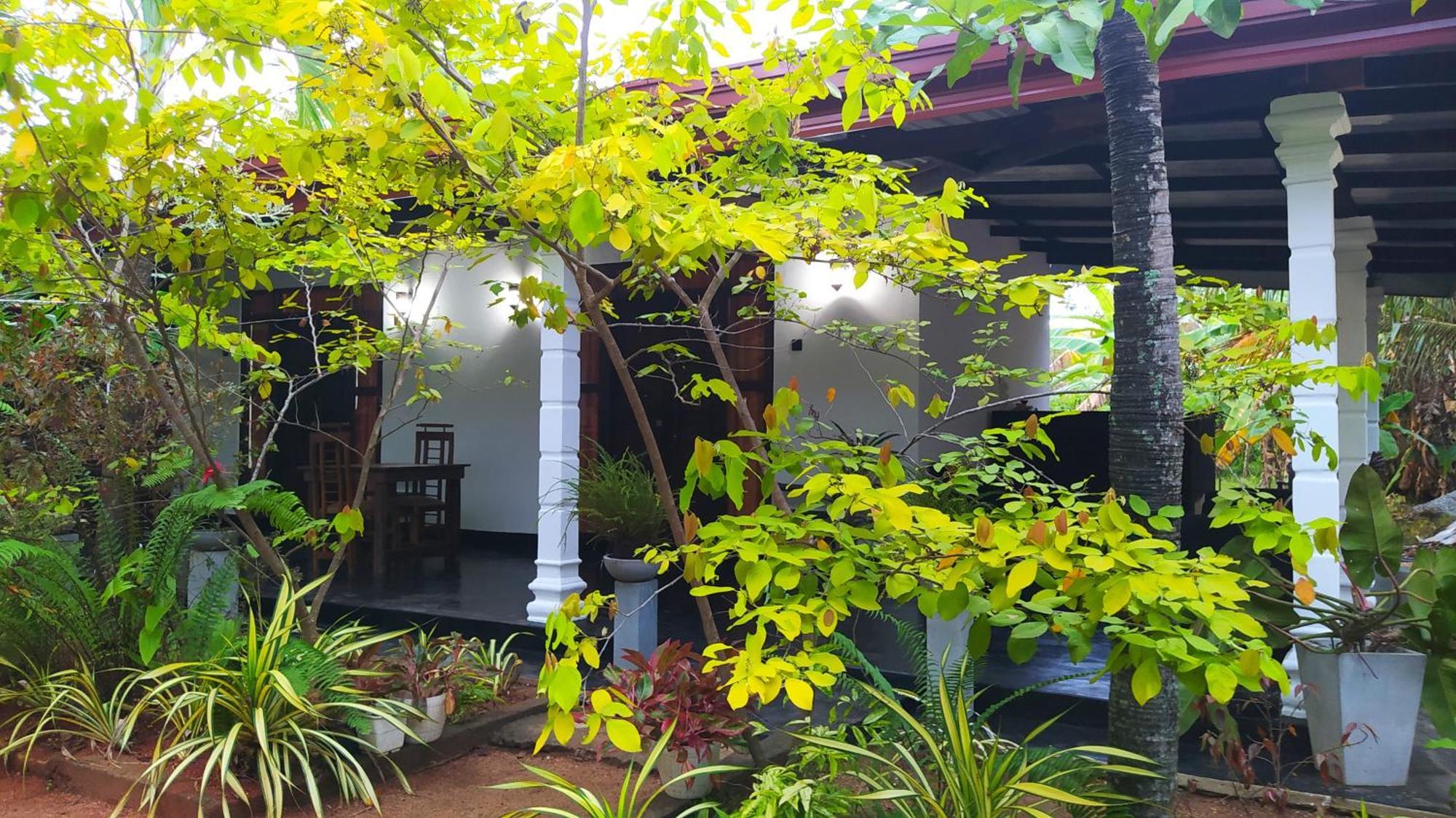 Yashi'S Place Sigirija Zewnętrze zdjęcie