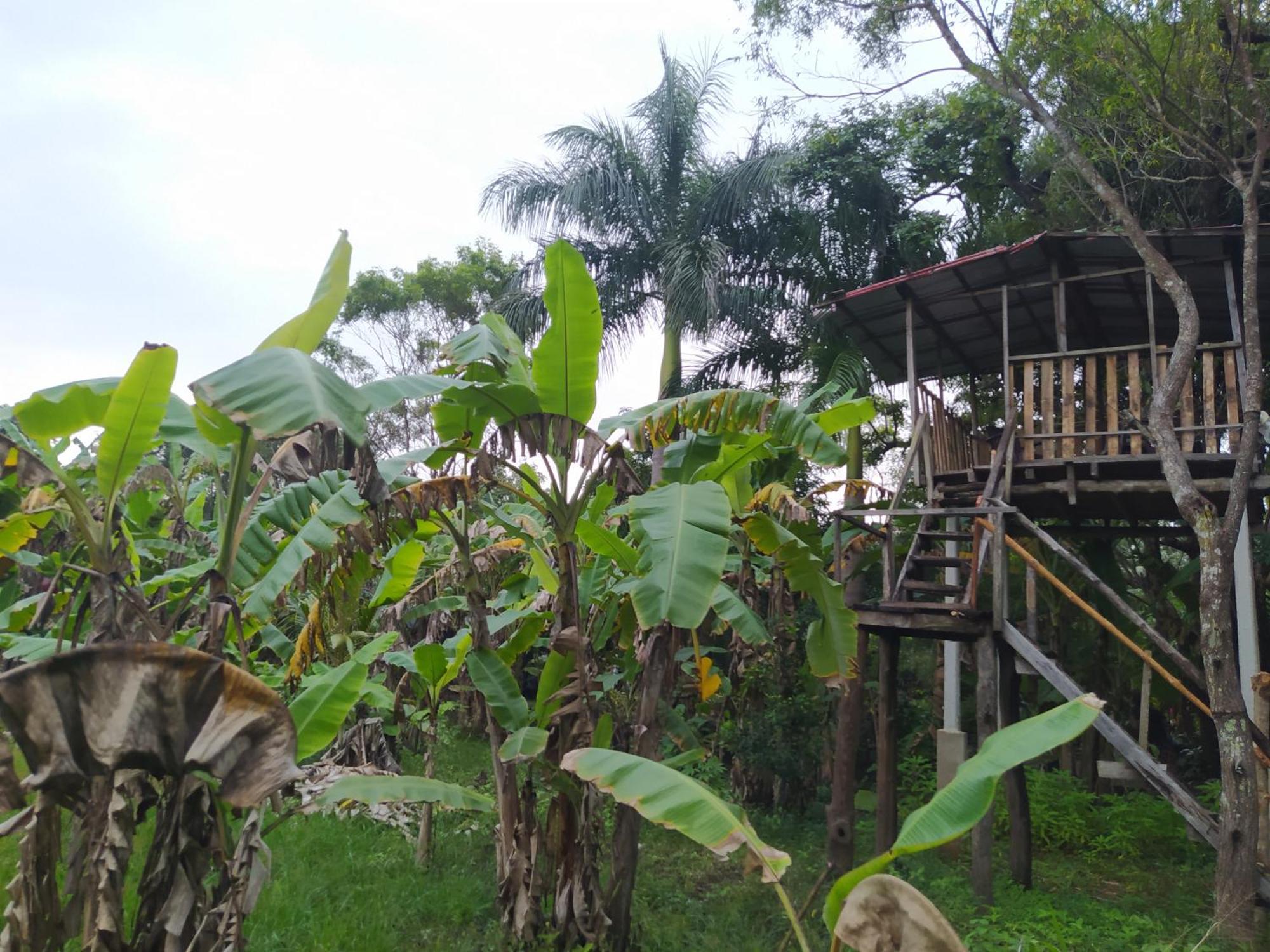 Yashi'S Place Sigirija Zewnętrze zdjęcie